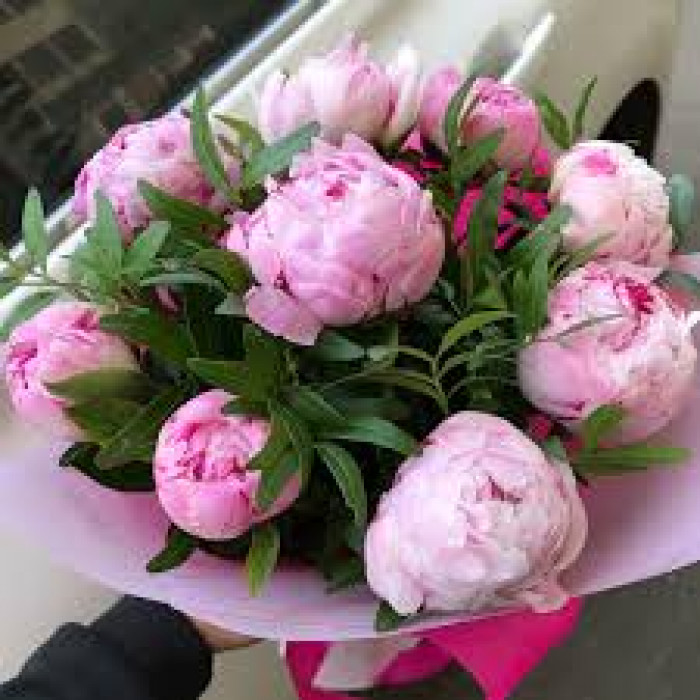 Пион древовидный в Державинске