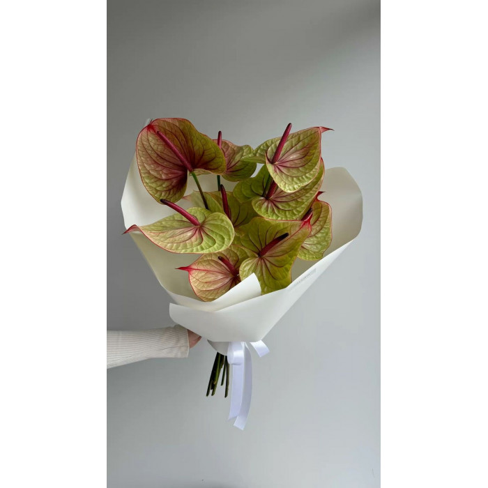 Антуриумы в Державинске