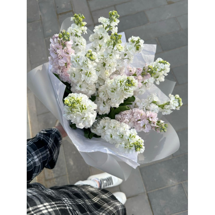 Маттиола в Державинске