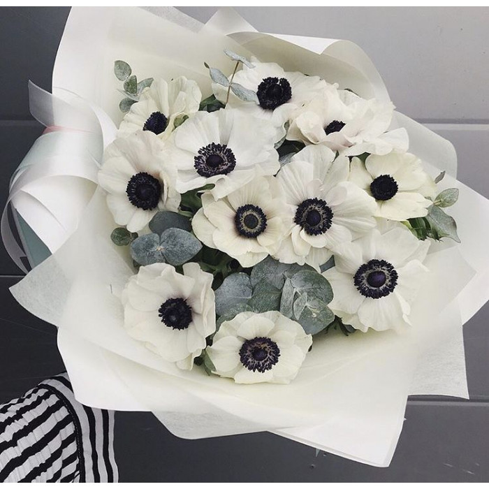 Анемоны в Державинске