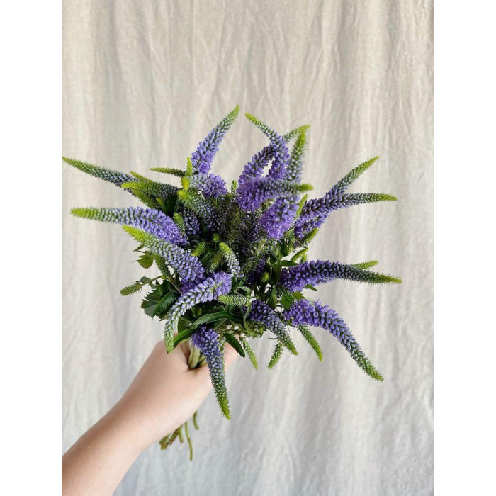 Вероника в Державинске