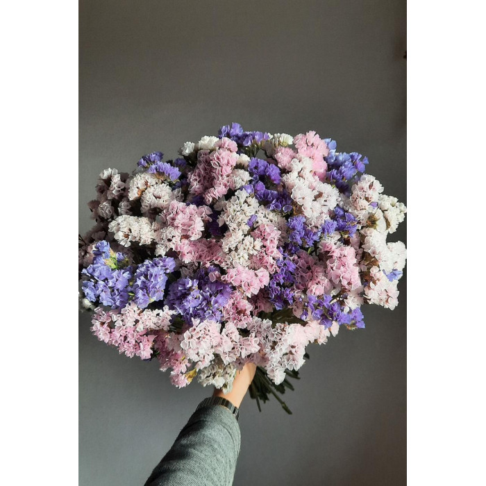 Статица (Лимониум) в Державинске