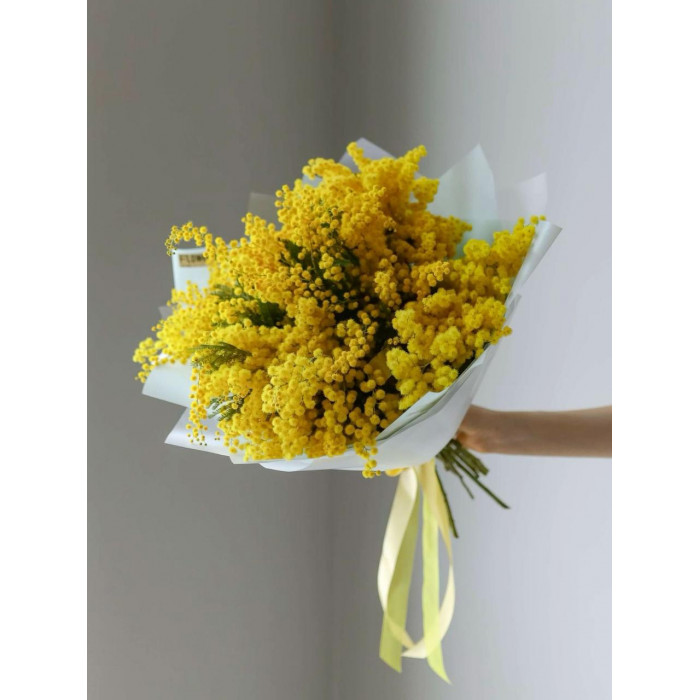 Мимоза в Державинске