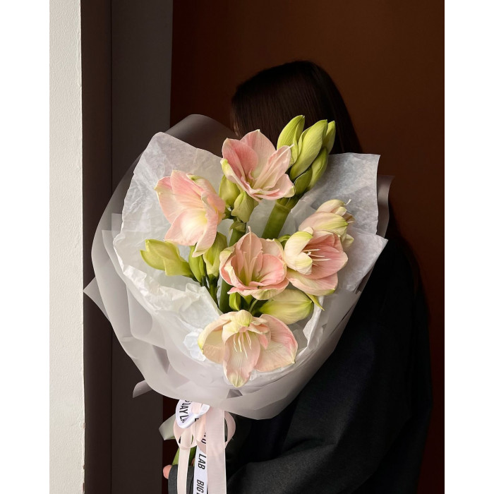 Амариллис в Державинске