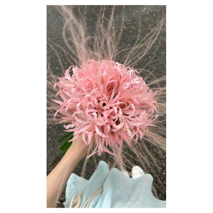 Нерине в Державинске