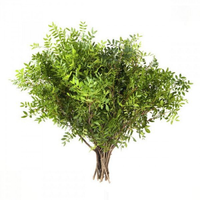 Писташ в Державинске