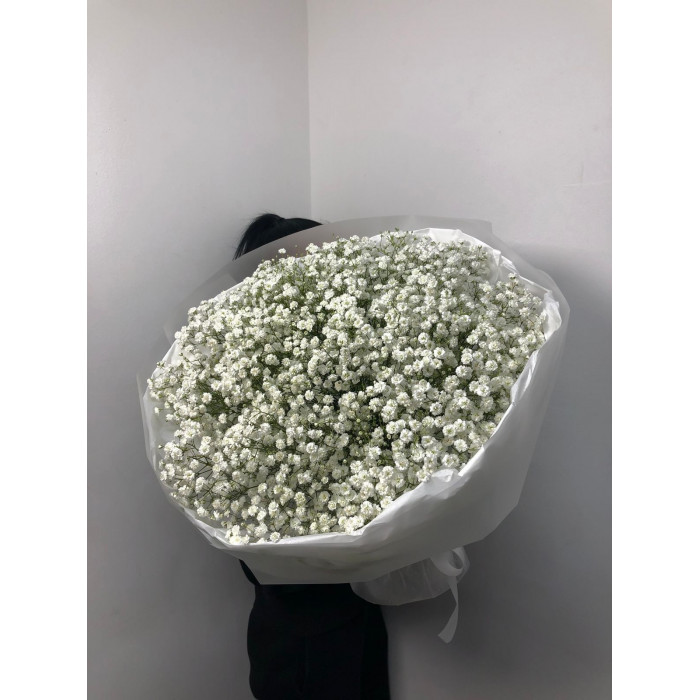 Гипсофила классическая в Державинске