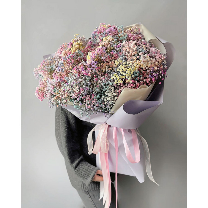 Гипсофила цветная в Державинске