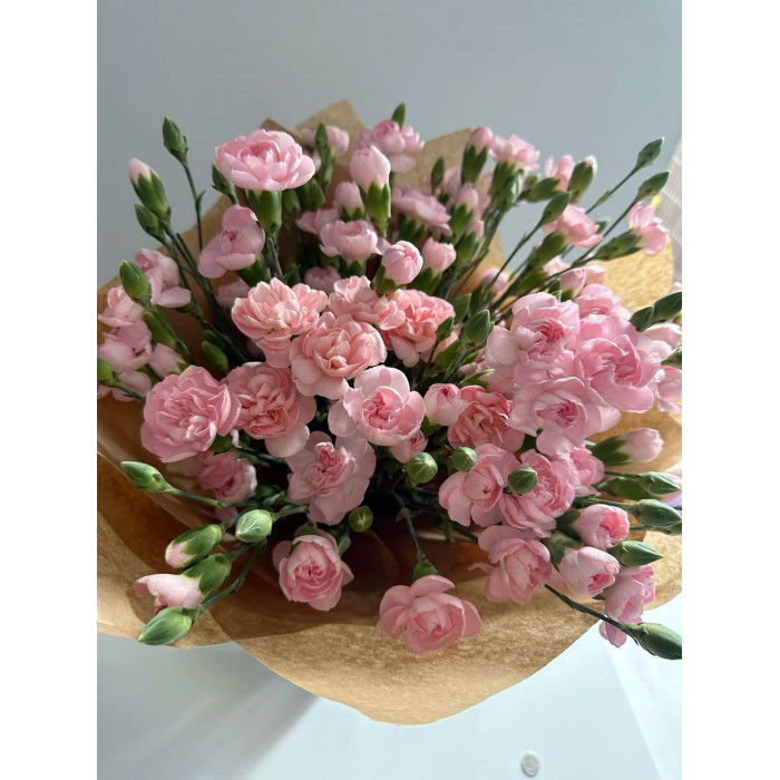 Кустовые гвоздики в Державинске