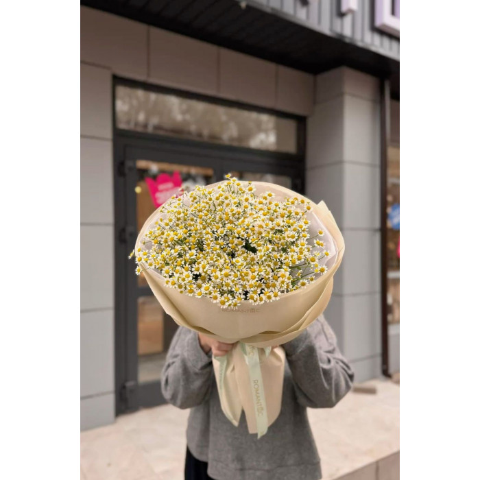 Танацетум в Державинске