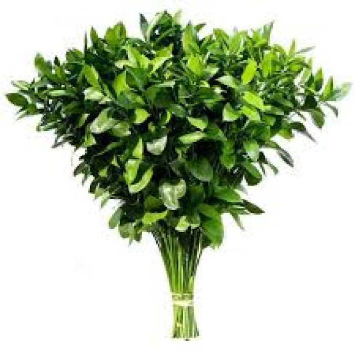 Рускус в Державинске