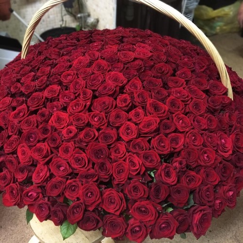 Купить на заказ 1001 роза с доставкой в Державинске