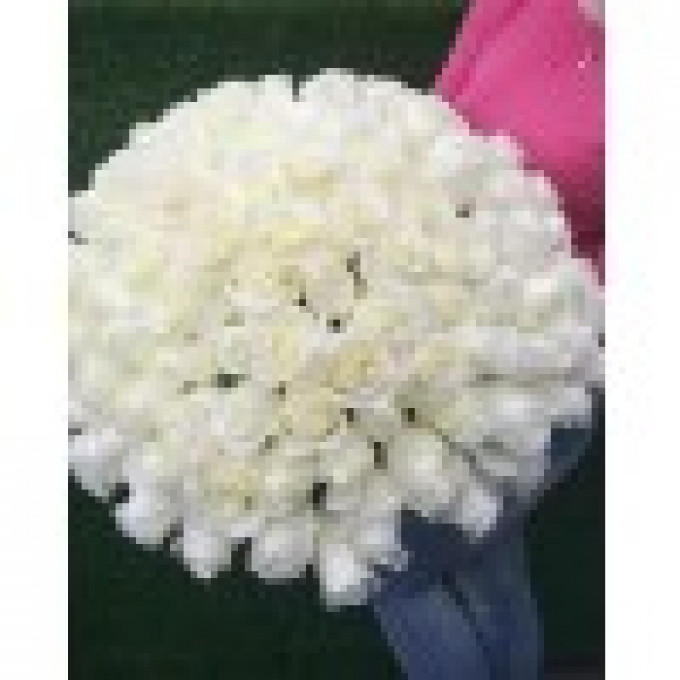 Букет из 75 белых роз Букет из 75 белых роз