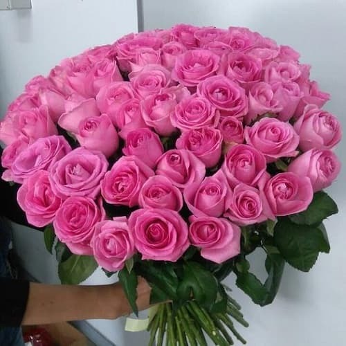 Купить на заказ Букет из 75 розовых роз с доставкой в Державинске