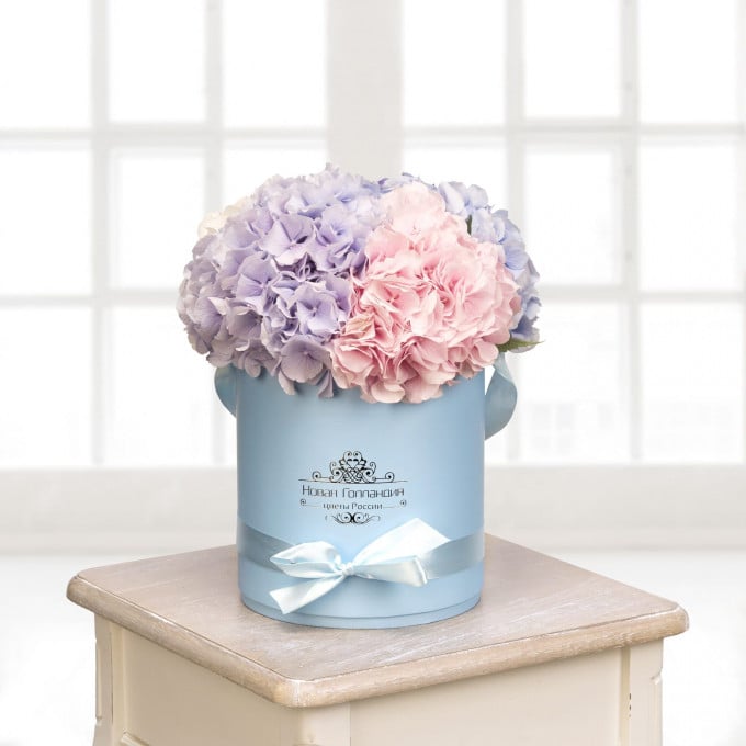 Гортензии в голубой шляпной коробке (5 шт.)