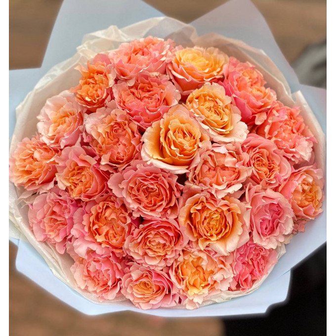 21 пионовидные розы 21 пионовидные розы