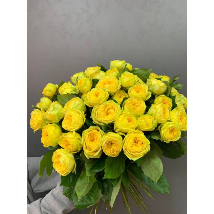 Mach Collection 12 Mach Collection 12