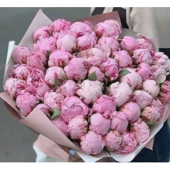 Букет из 101 пиона