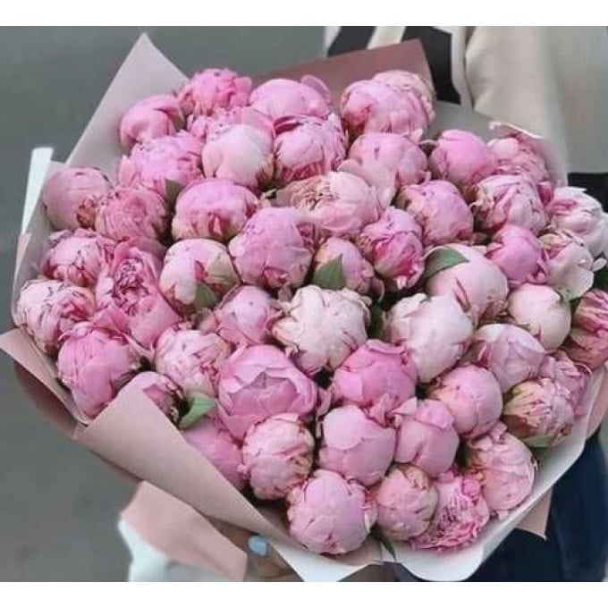 101 пион 101 пион