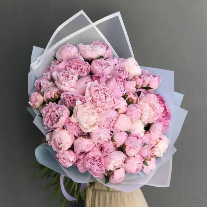 51 пион 51 пион