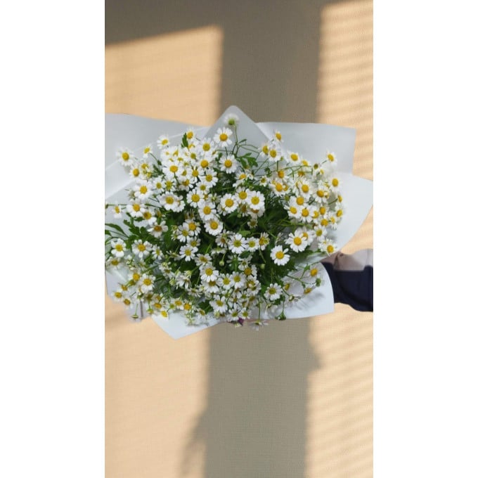 Воздушный букет из полевых ромашек Воздушный букет из полевых ромашек